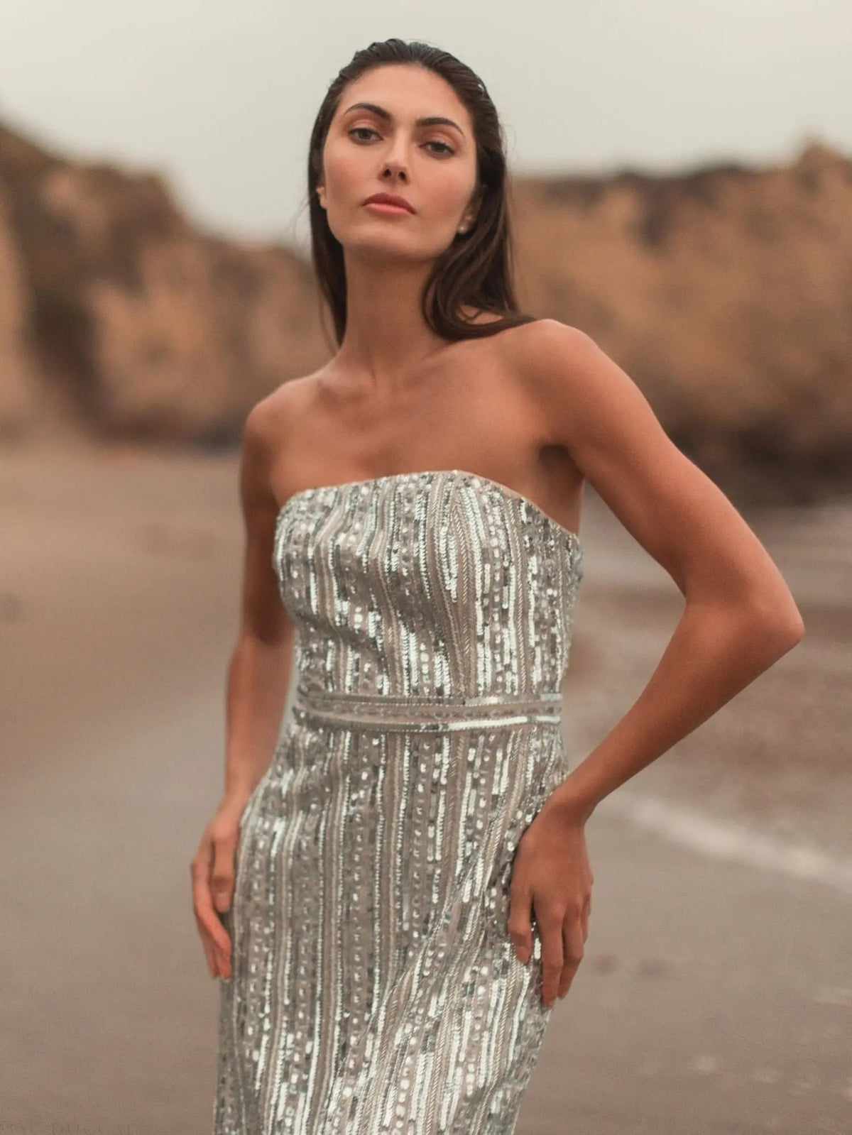 Mac Duggal Silver and Beige Embellished Strapless Sheath Dress Duggal